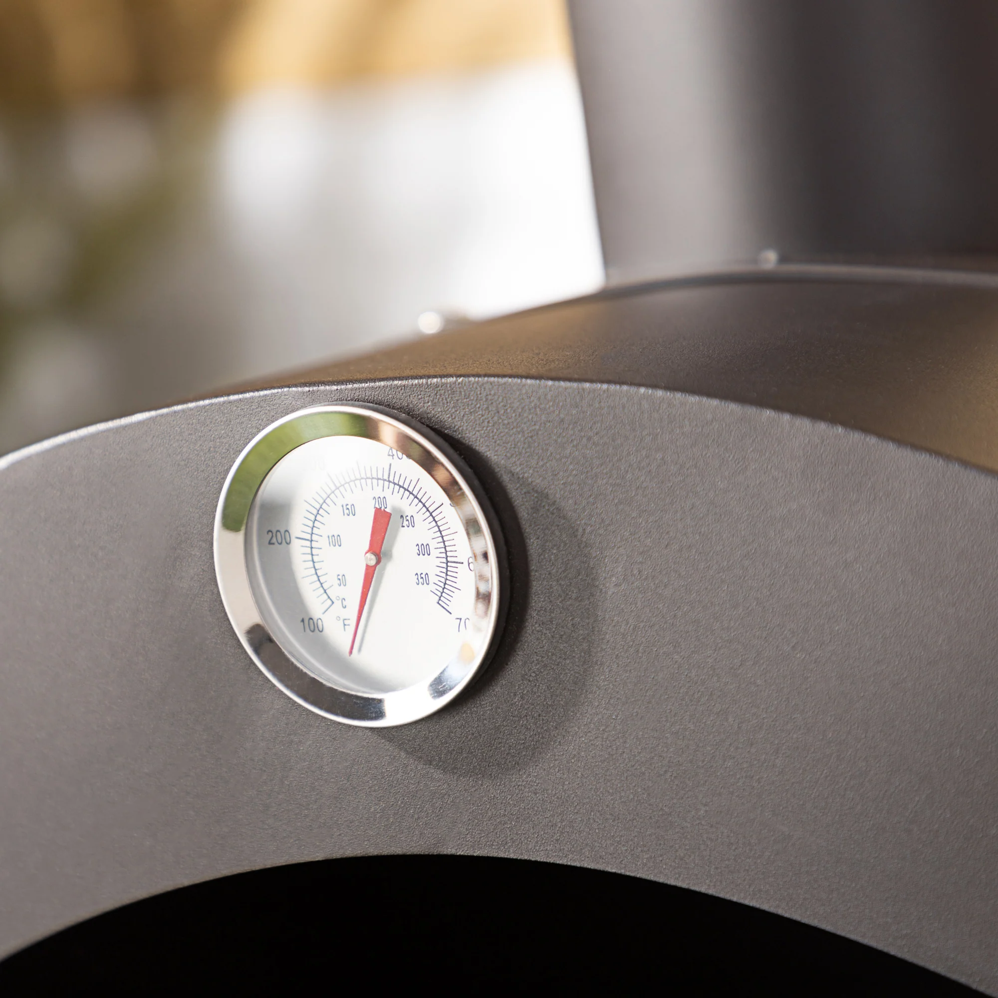 Fire Mountain Pizza Oven & Smoker - Image 6